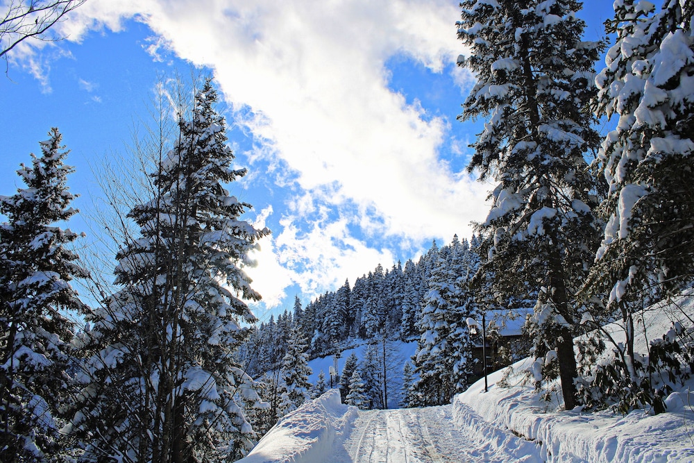 Foleya Mountain Resort 38/50