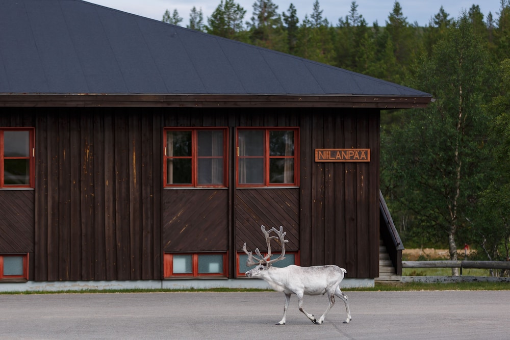 Fell Centre Kiilopaa Hotel Niilanpaa 1/50