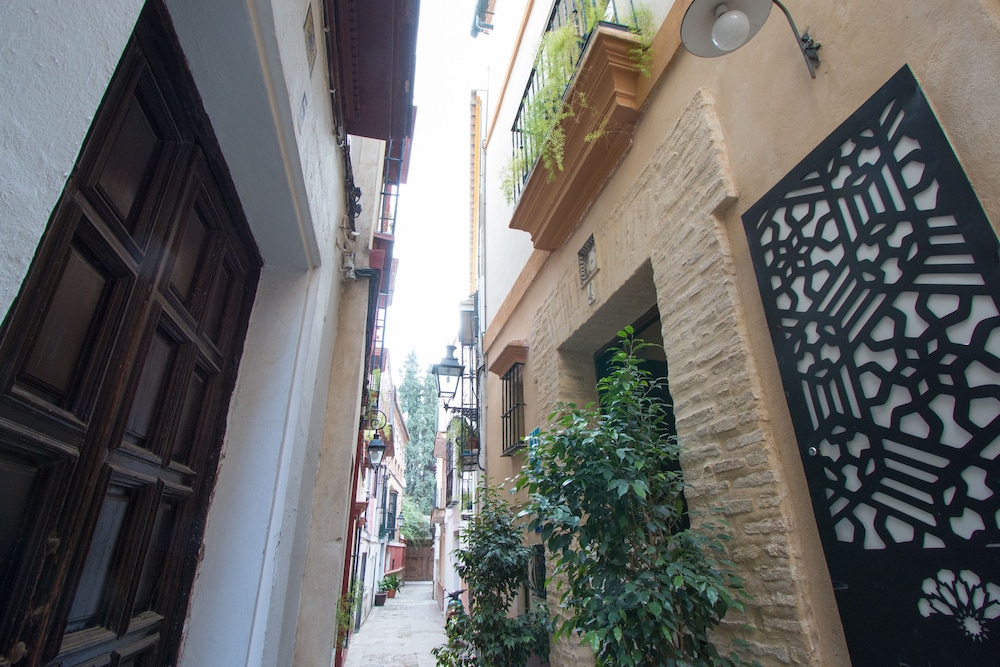 Apartamentos Suites Santa Cruz 52/52