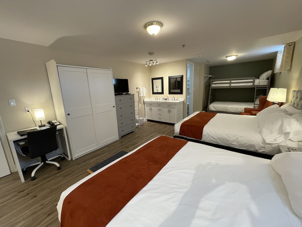 The Harbour House 20/50