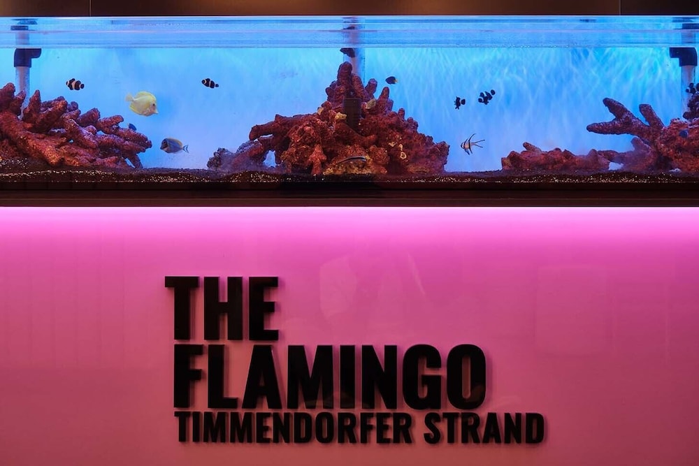 The Flamingo 2/28
