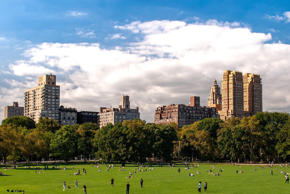 Kama Central Park 16/19