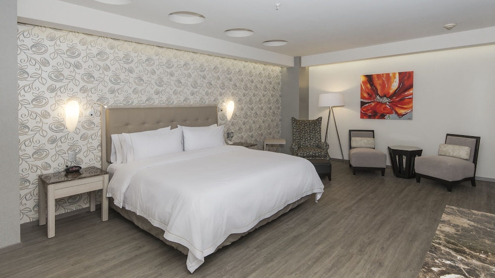 HOLIDAY INN EXPRESS MEXICO - TOREO 16/58