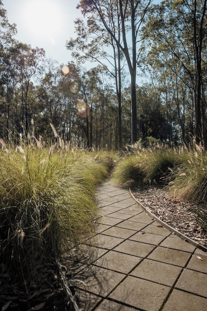 Wild Woods at Pokolbin 36/43