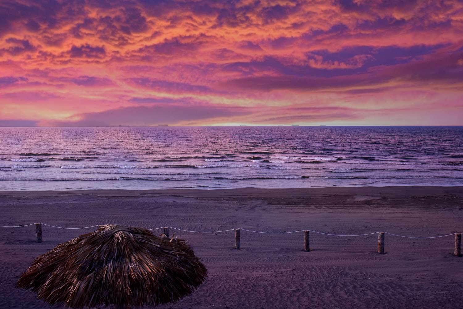 Delta Hotels by Marriott Riviera Veracruz 17/19