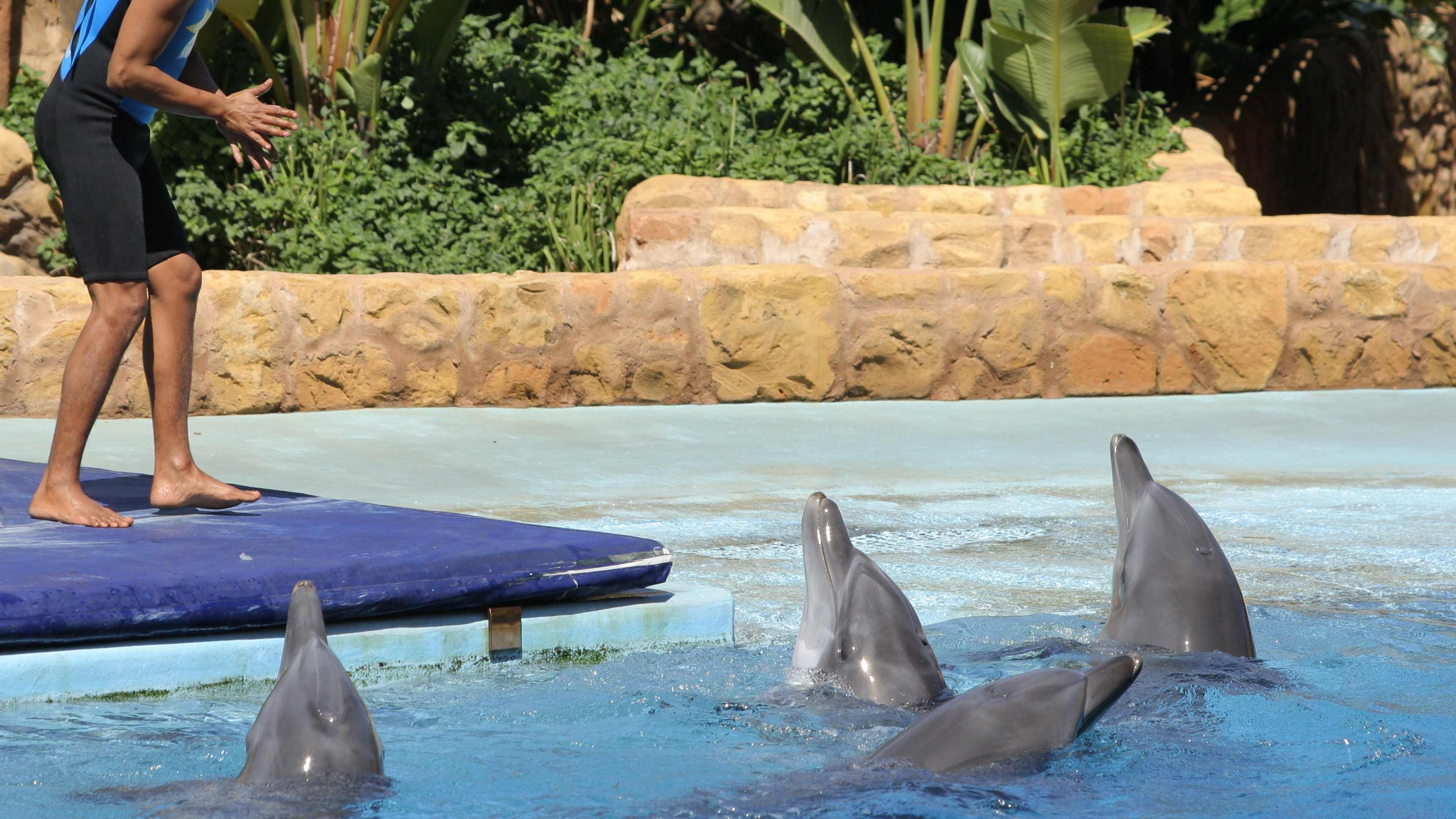 HOLIDAY INN EXPRESS DURBAN - UMHLANGA 80/83