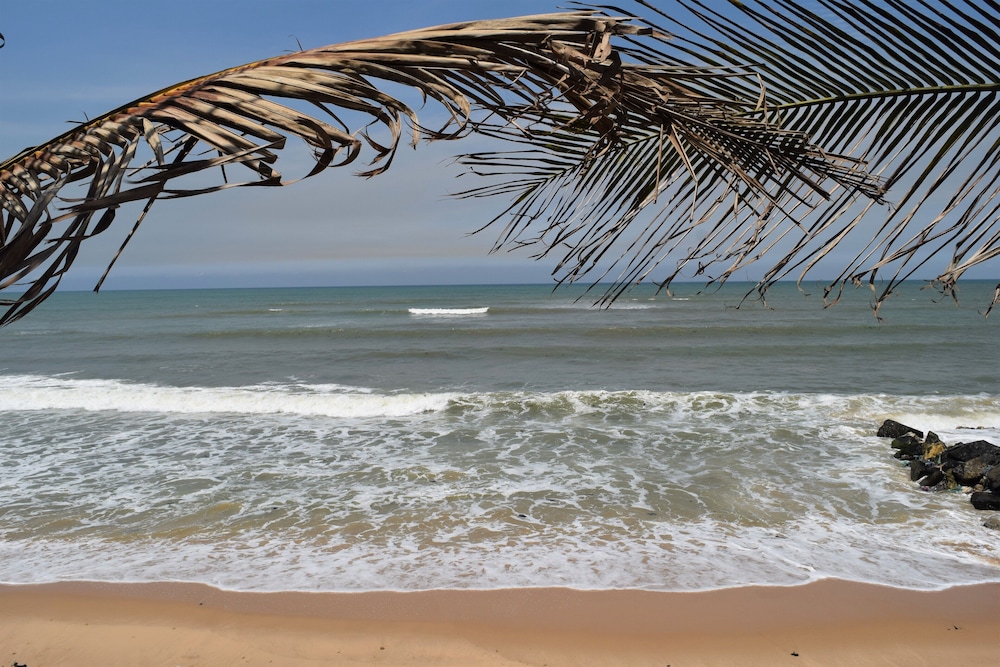 Coconut Pointe Beach Resort 44/50