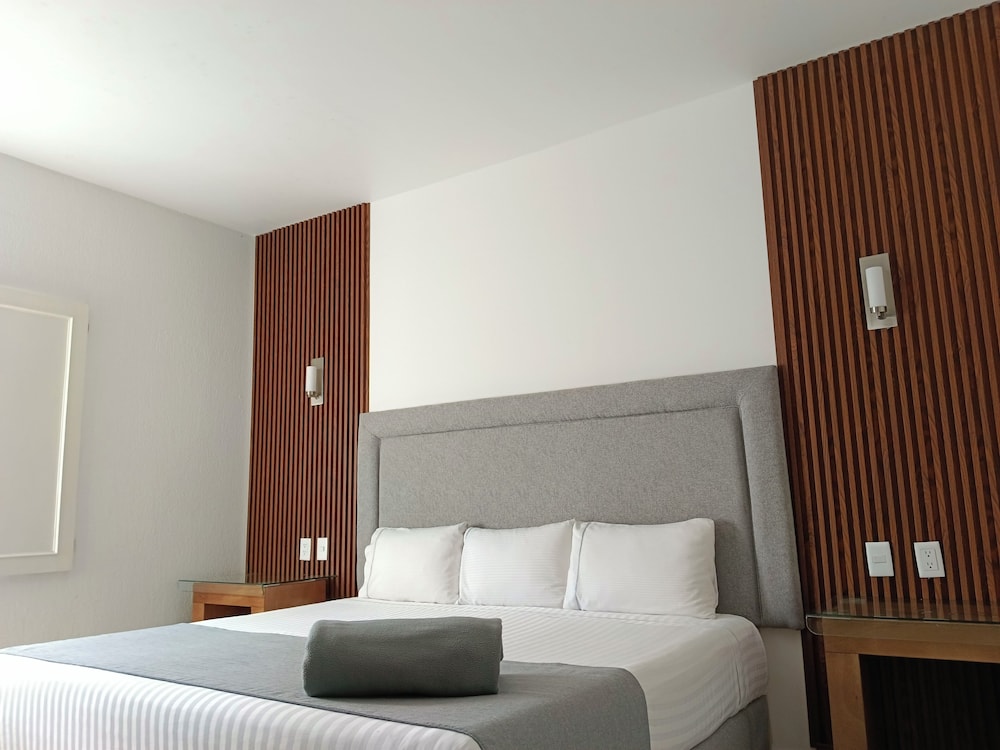 Hotel Zar Guadalajara 17/42