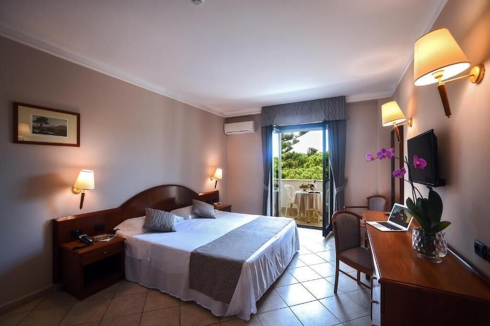 Hotel Le Palme 15/49