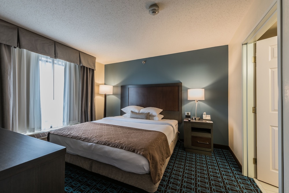 Wingate by Wyndham Schaumburg / Convention Center 15/72