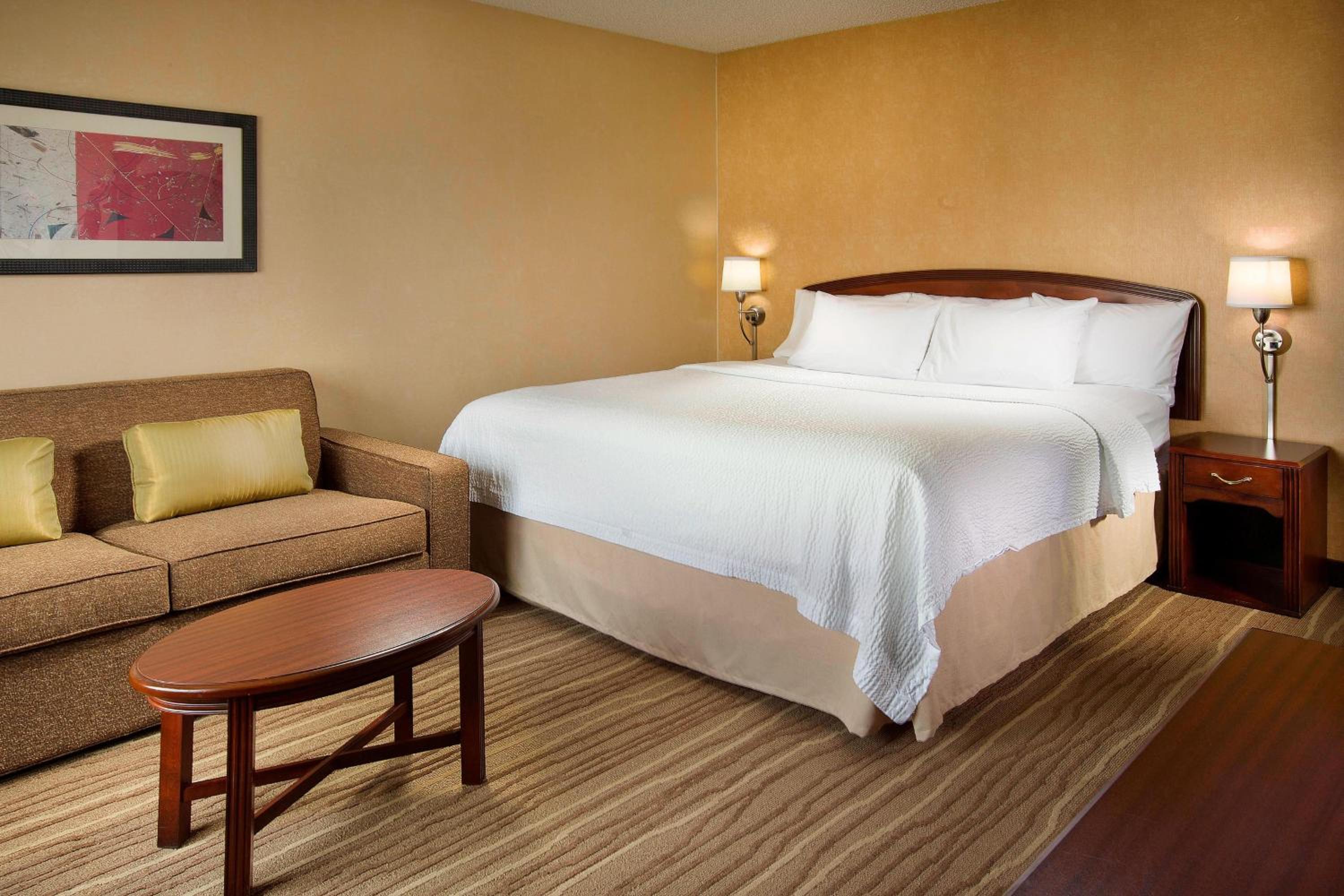 Specialty, King Bed, Bathtub, Accessible