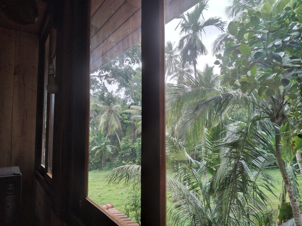Green Herbal Ayurvedic Eco-Lodge 51/54