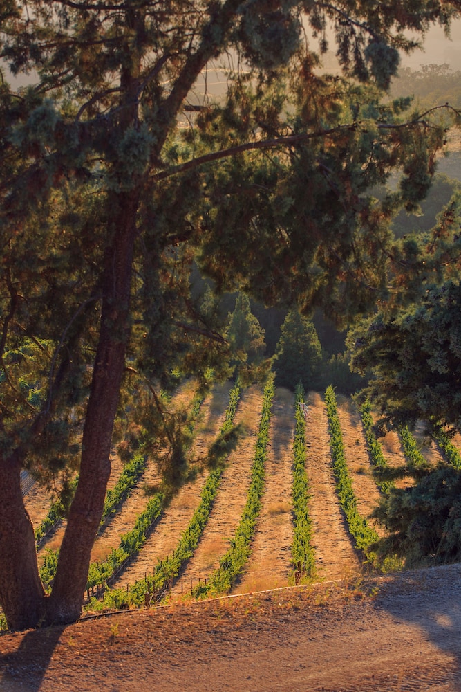 Allegretto Vineyard Resort Paso Robles 66/71