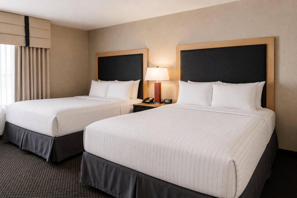 Upgrade, Suite, 2 King Beds