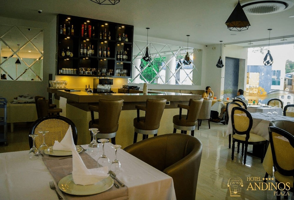 Hotel Andinos Plaza 33/48