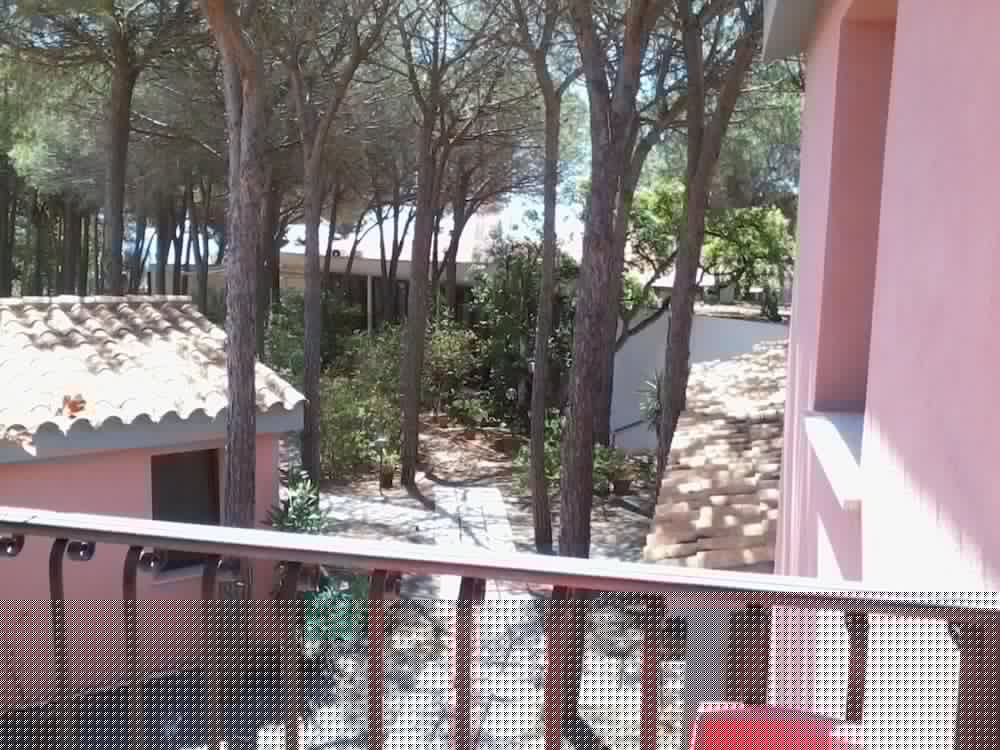 Hotel New Barcavela 47/50