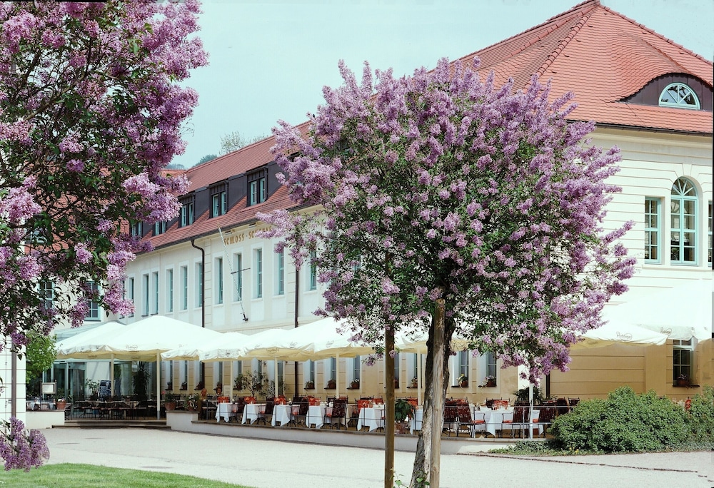 Schloss Pillnitz 3/50