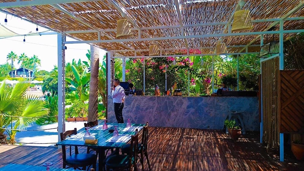 Turquoise Beach Resort Tyre 4/50