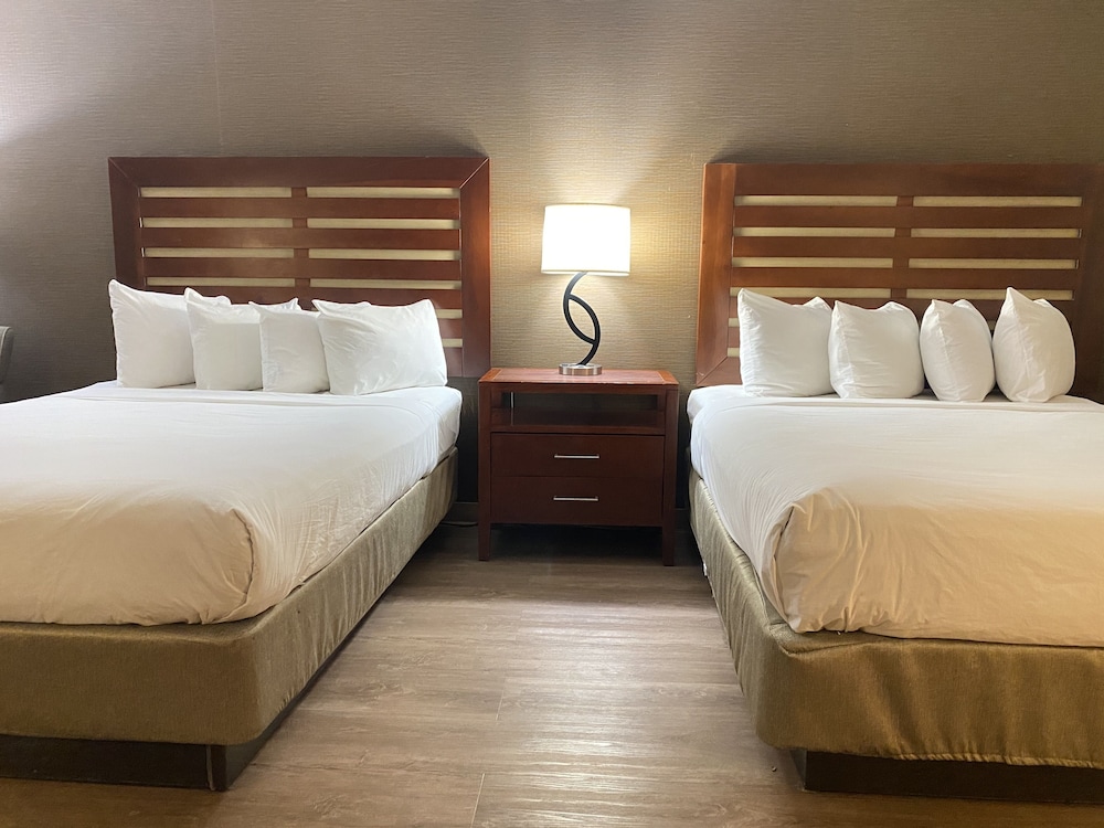 Wyndham Garden Grand Rapids Airport 18/58