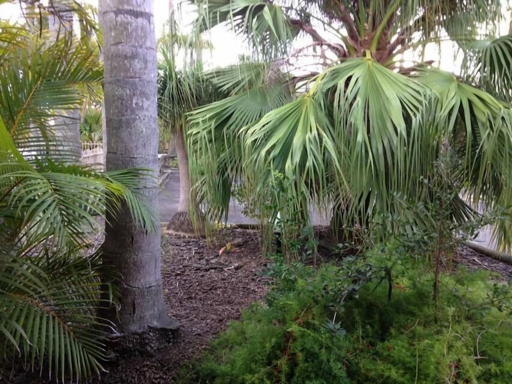 FORSTER PALMS MOTEL 48/50