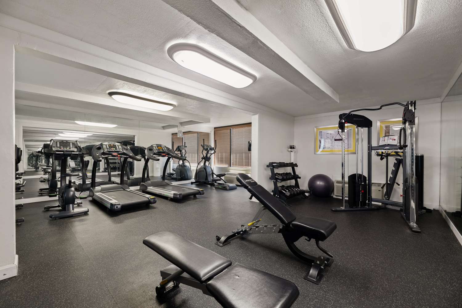 Best Western Orlando Gateway Hotel 27/42