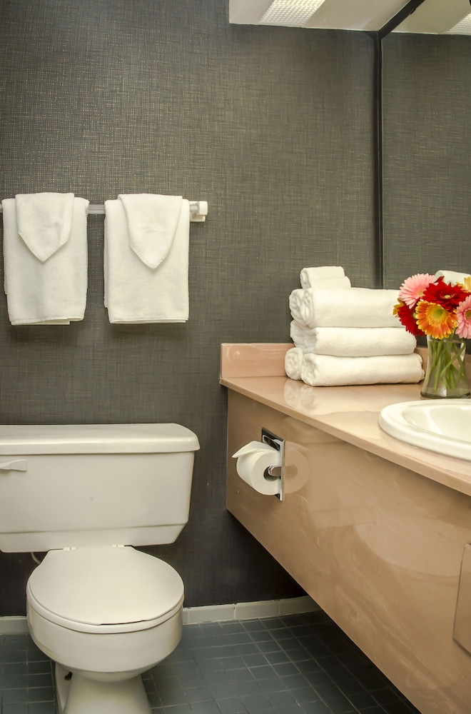Cartier Place Suite Hotel 19/64