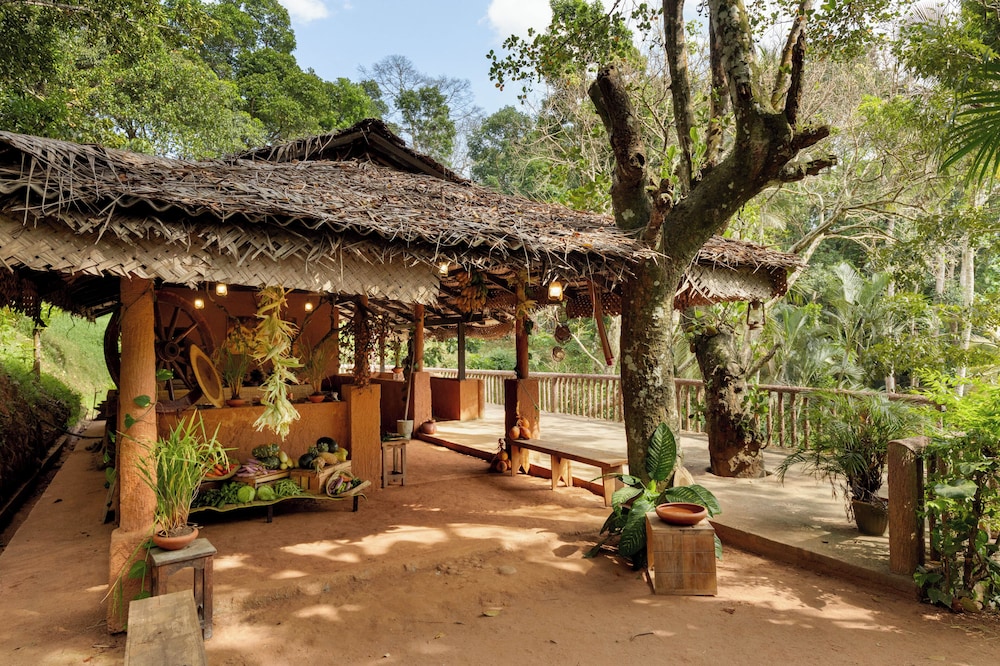 Tree Of Life in Hanthana