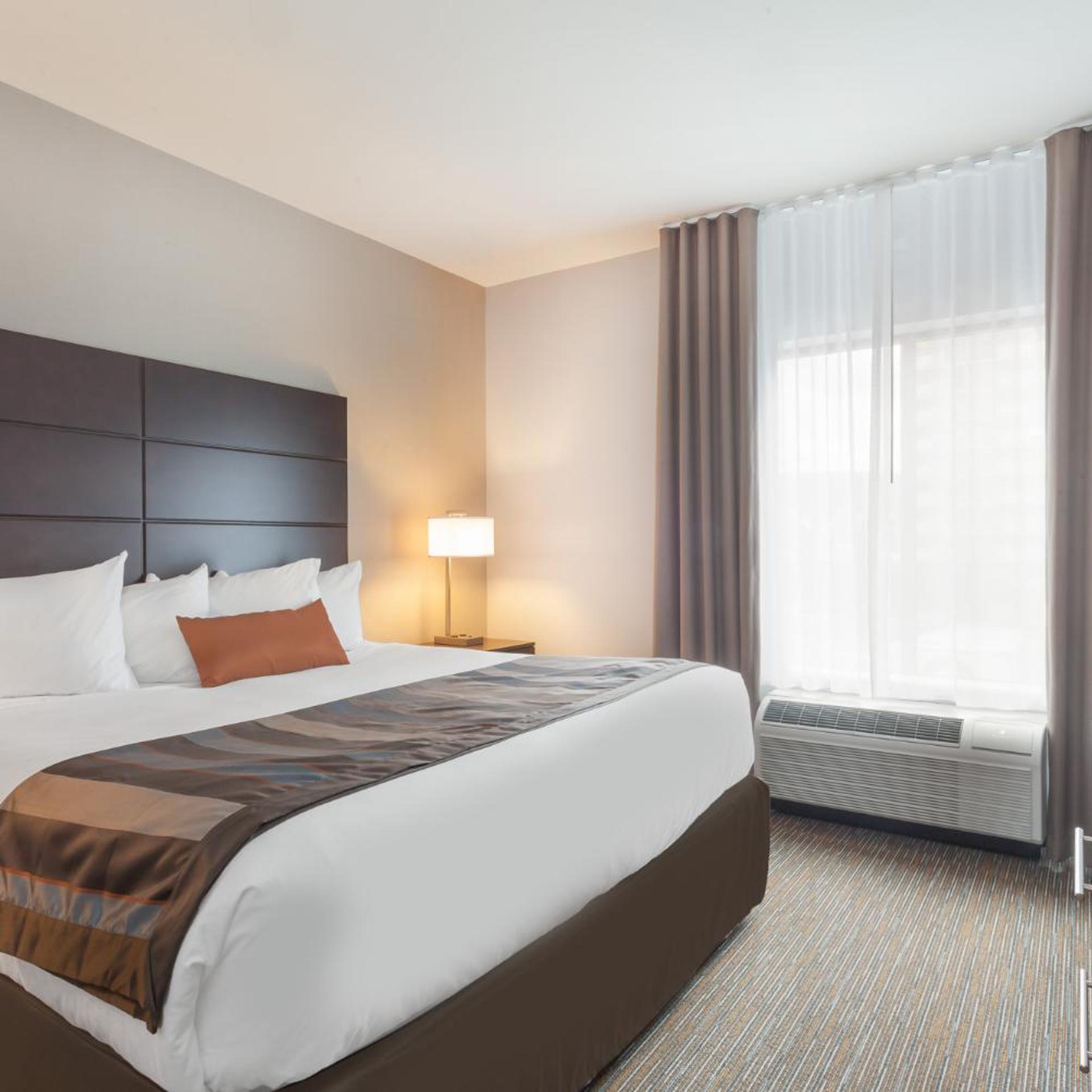 1 Bedroom, Suite, King Bed, Sofa