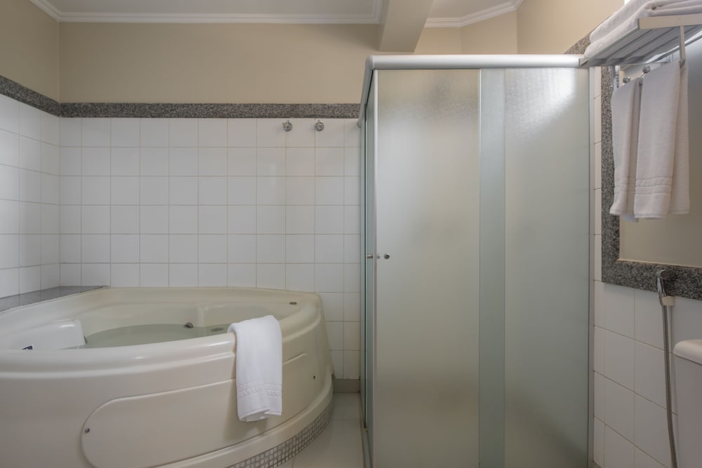 Hotel Nacional de Rio Preto Distributed By Intercity Ex Hotel Nacional Plaza Inn 30/63