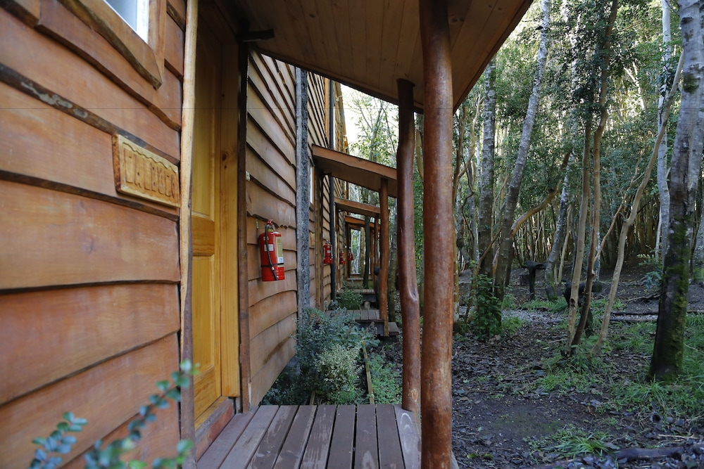 Cabanas Anulen Bosque Nativo 44/49