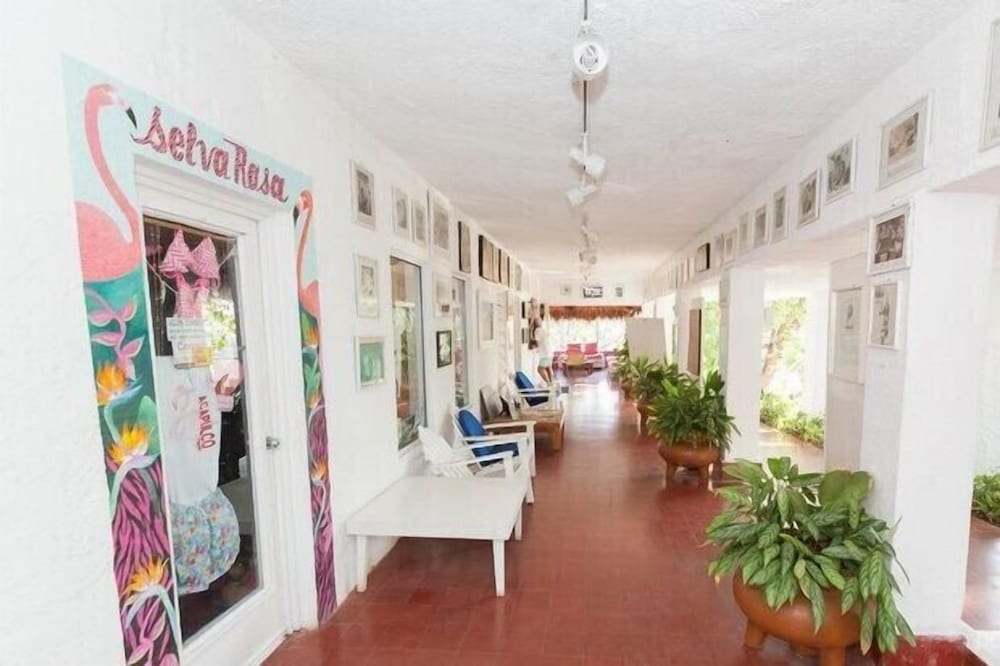 Los Flamingos Hotel 2/47
