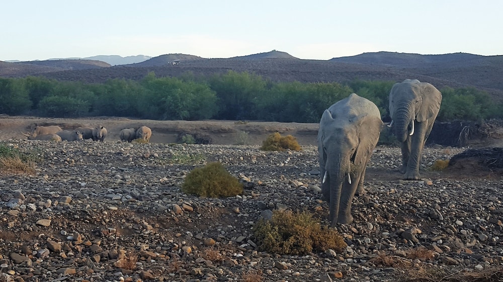 Sanbona Wildlife Reserve 31/50