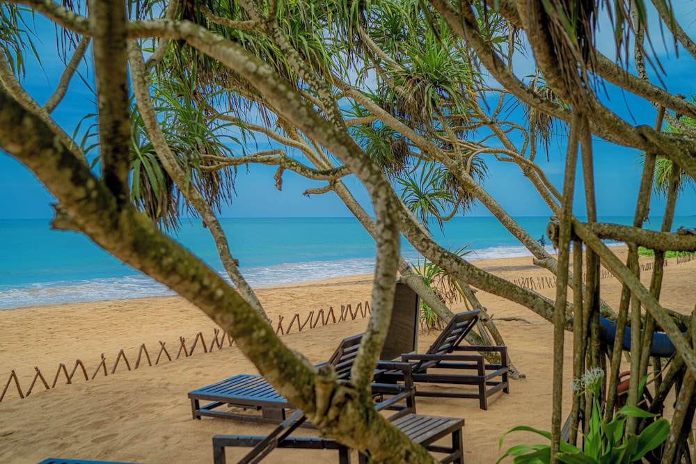 Temple Tree Resort and Spa 38/50