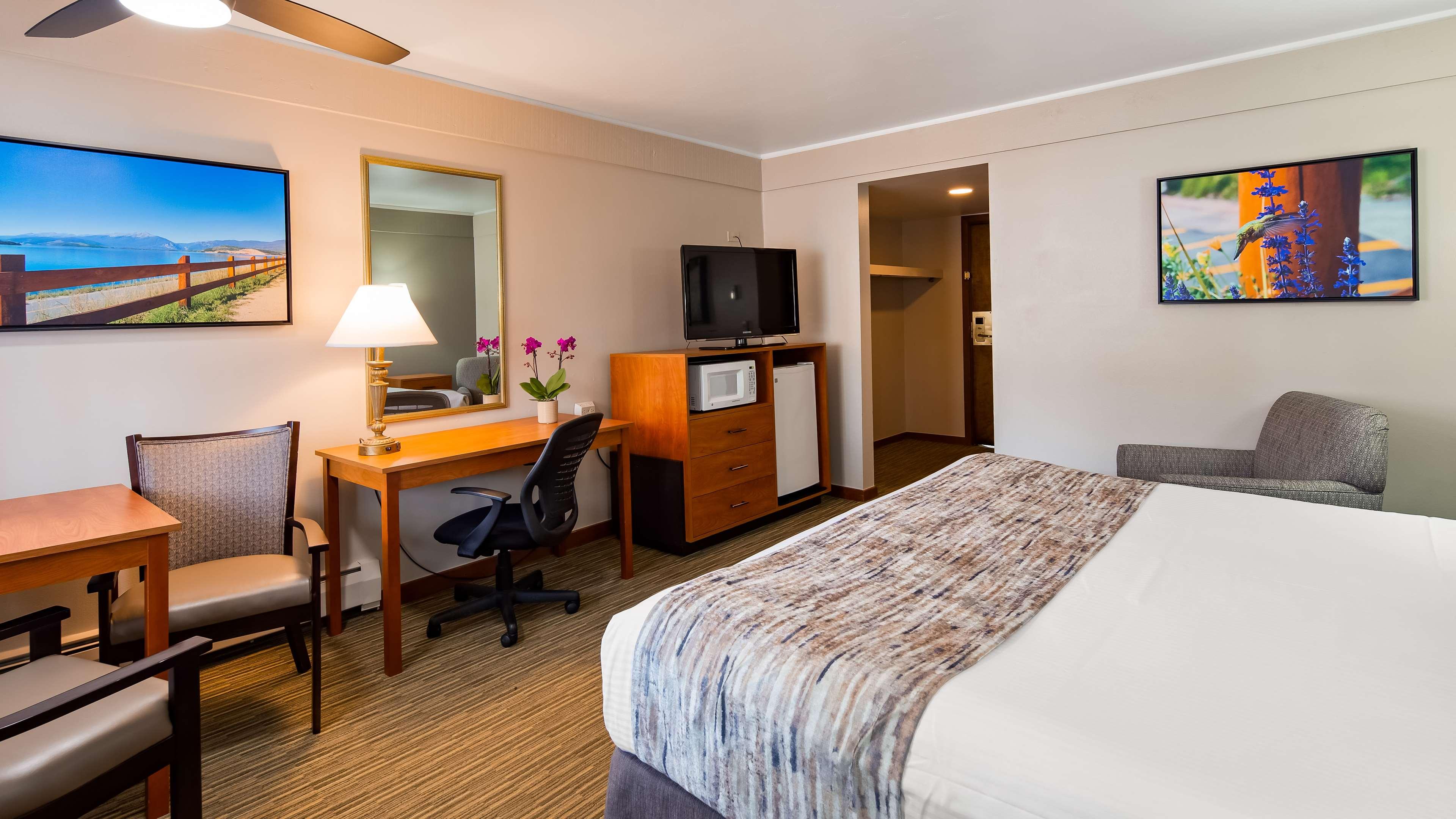 Room, King Bed, Pet Friendly