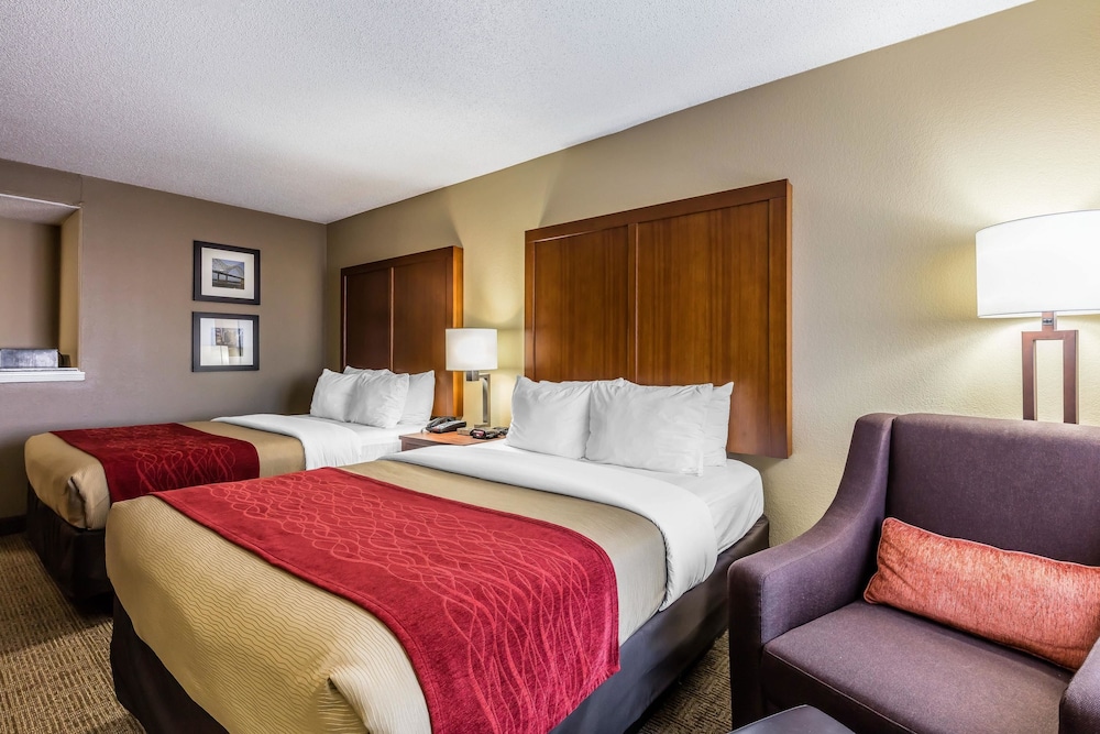 Comfort Inn And Suites Airport American Way 15/42