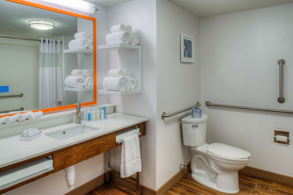 Hampton Inn & Suites Wixom 13/61