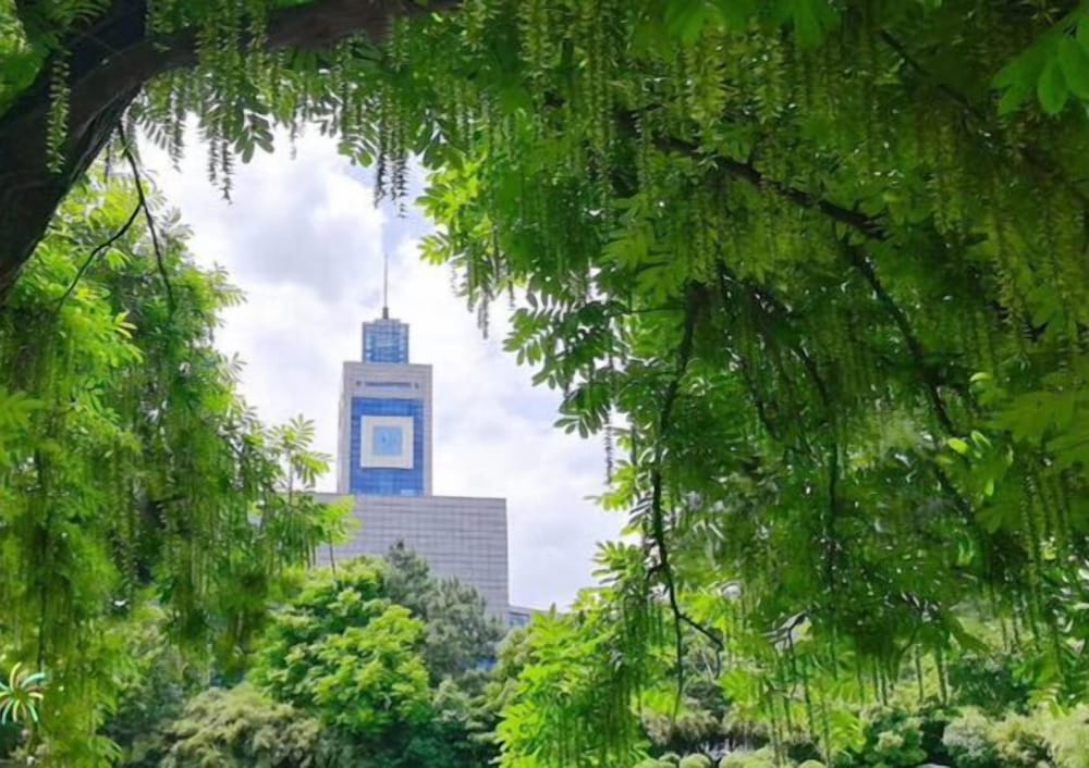Ibis Wenzhou University Hotel 52/53