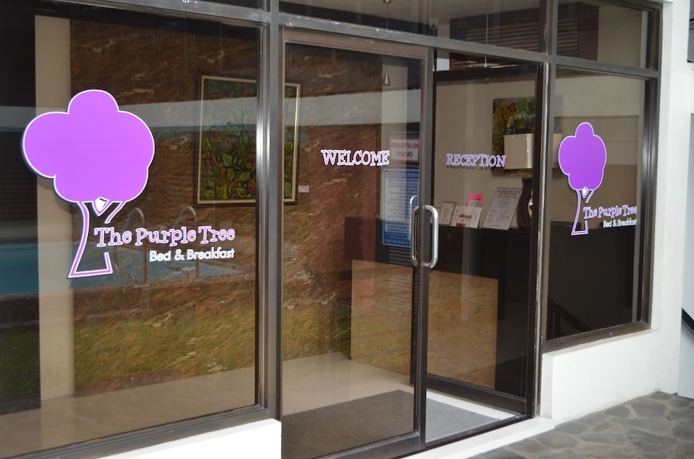 The Purple Tree Bed & Breakfast 21/36