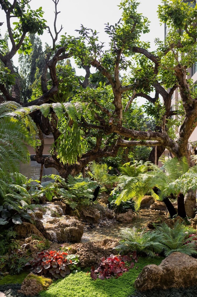 Ana Park Chiangmai 48/56