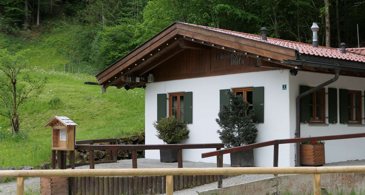 Berghotel Hammersbach, Sure Hotel Collection by Best Western 2/31