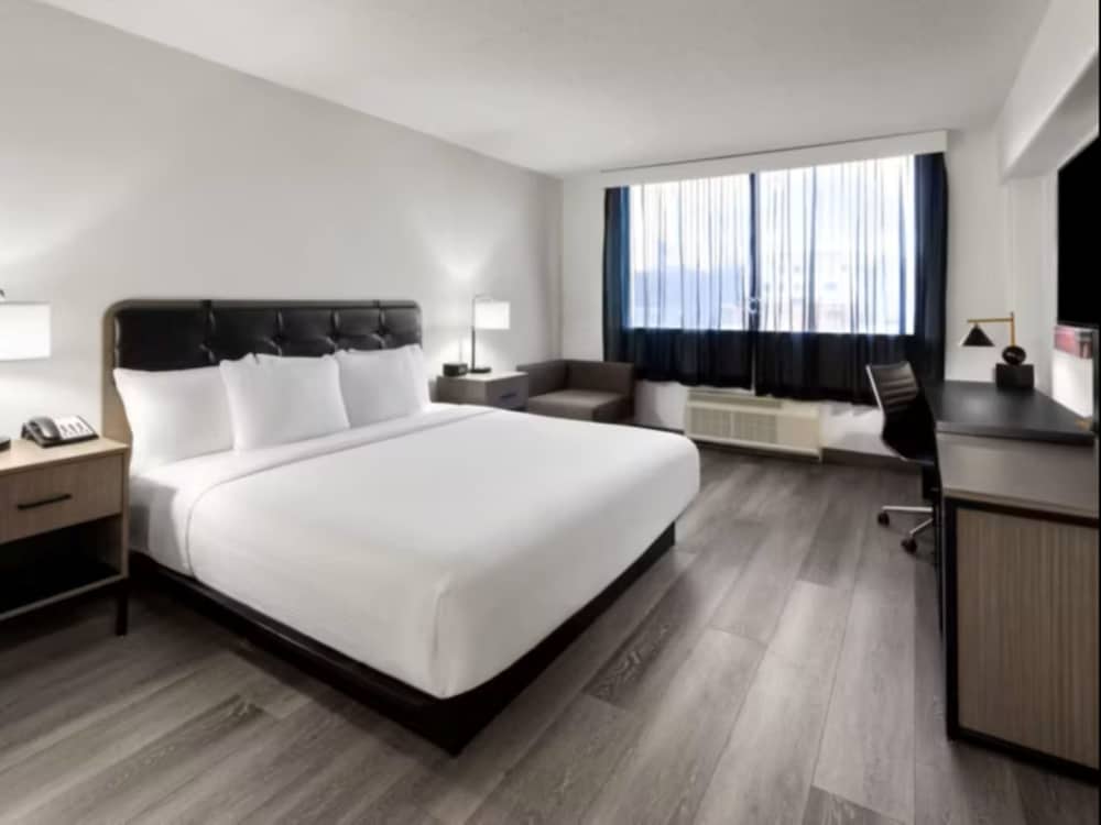 Standard, Single Bed