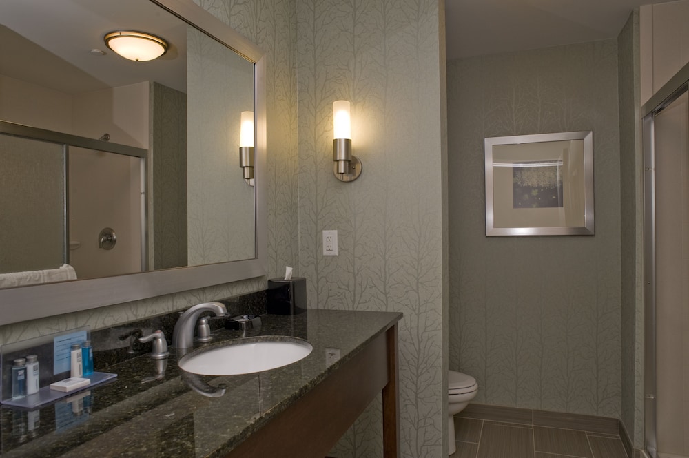 Hampton Inn Anderson/ Alliance Business Park 17/45