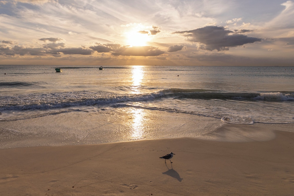 Areia Playa del Carmen 59/69