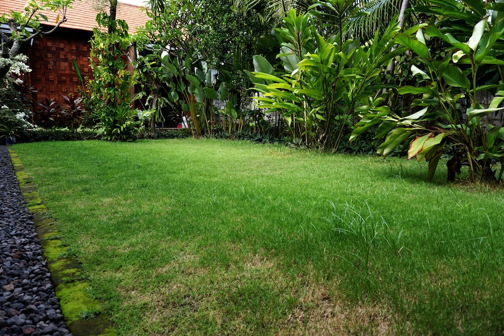 Louto Dmell Homestay 40/50