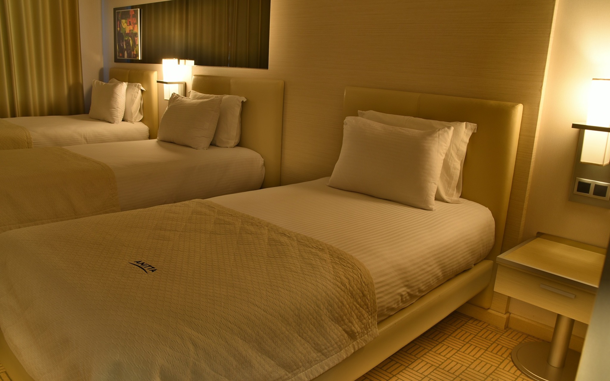 Anitta Hotel 10/33