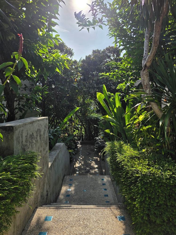 HULA HULA RESORT l truly tropical and fun wellness 83/90
