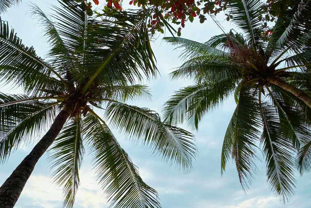 The Muse Beach Front Hotel Boracay 47/50