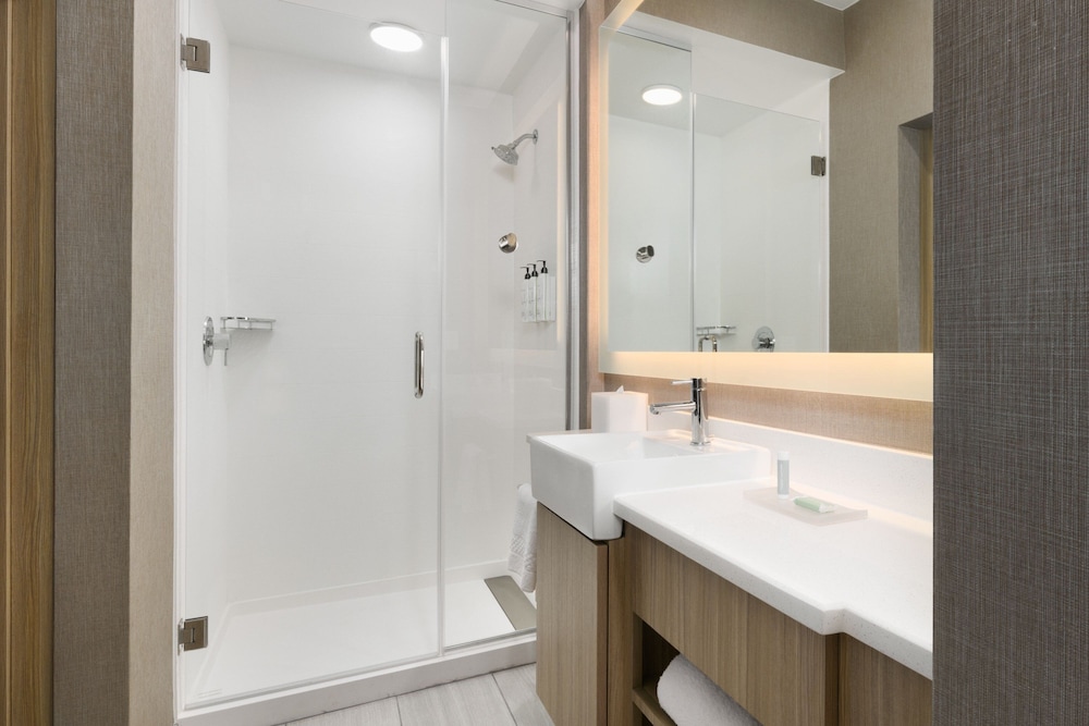Springhill Suites By Marriott Dothan 18/21