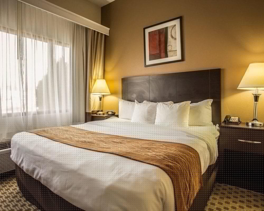 Comfort Suites Lumberton North 14/53
