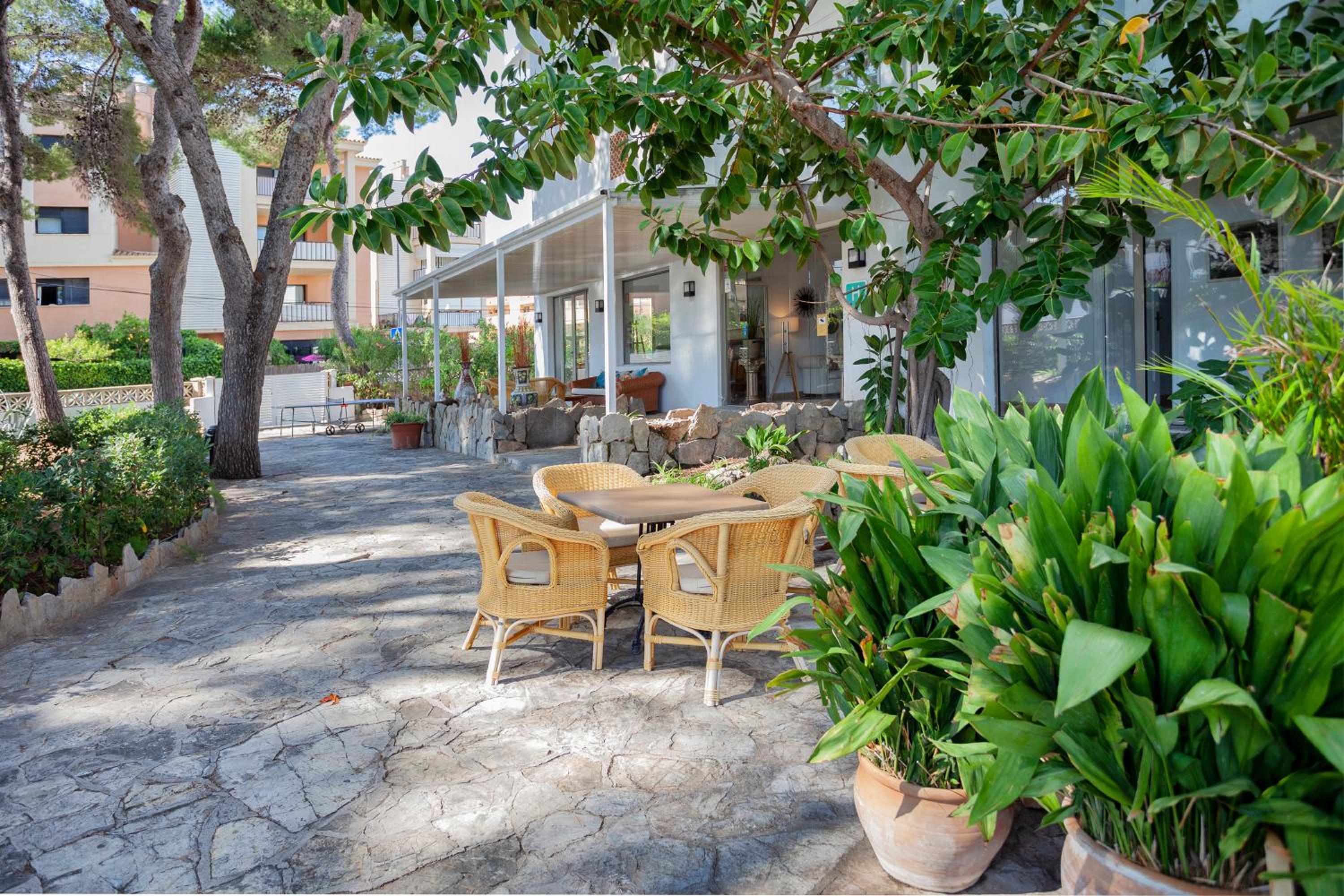 Petit Garden Hotel by Flacalco 44/50